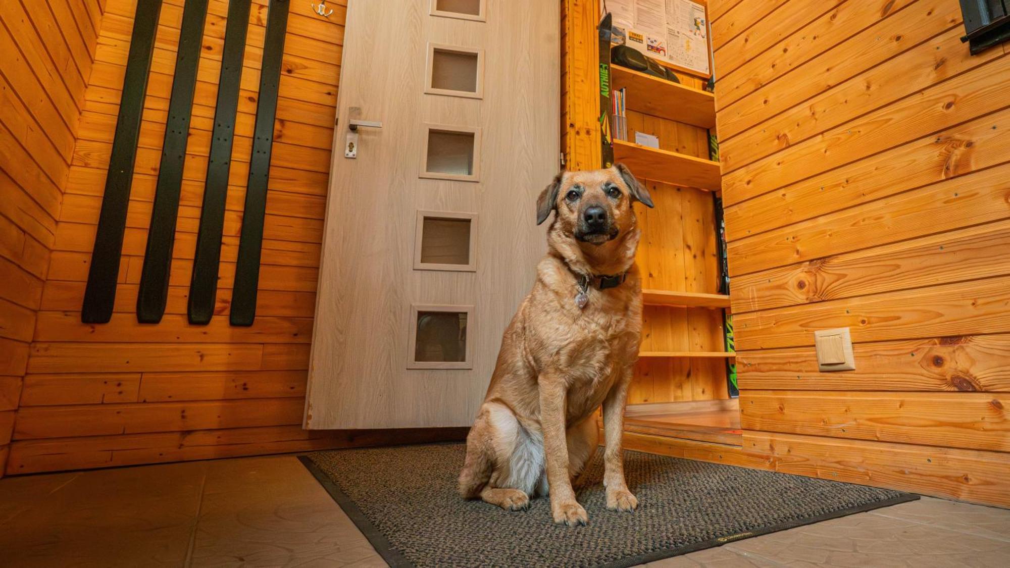 Ski House Jursport Závažná Poruba Zewnętrze zdjęcie